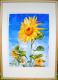 Sonnenblume Sonnenblume