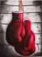 Boxing Boxing