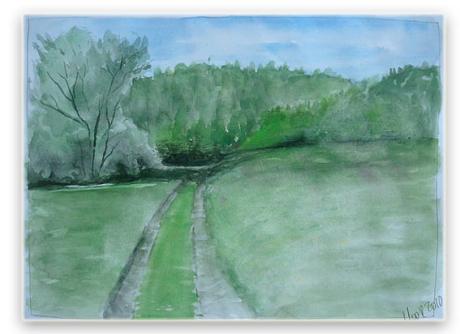 Waldweg - Moor Alfi - Array auf Array - Array - Array Waldweg - Moor Alfi - Array auf Array - Array - Array