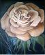 Rose Rose