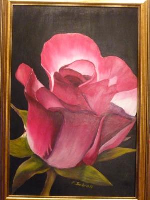 Rose - Edith Schroll - Array auf Array - Array - Array Rose - Edith Schroll - Array auf Array - Array - Array