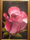 Rose Rose