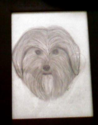 © atelier-hagen Hundedame Paula - Reinhold Hagen - auf - Array - © atelier-hagen Hundedame Paula - Reinhold Hagen - auf - Array -