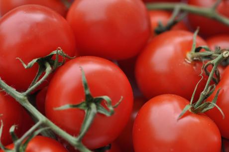 Maten - Mona Maxerath - auf - Array - Maten - Mona Maxerath - auf - Array -