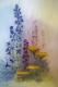 Blumen im Morgennebel Blumen im Morgennebel