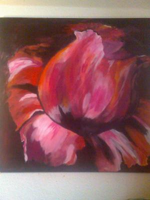 Color´s of Roses - Christiane Hauschild - Array auf Array - Array - Color´s of Roses - Christiane Hauschild - Array auf Array - Array -