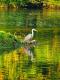 Morgens an der Saale Morgens an der Saale