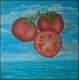 ---Tomaten ---Tomaten