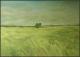 ---die Wiese ---die Wiese