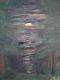 Geheimnis des Waldes Geheimnis des Waldes