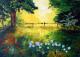 Sommerwiese Sommerwiese