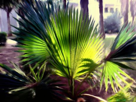 Palme - Gabriele Nedilka - Array auf Array - Array - Palme - Gabriele Nedilka - Array auf Array - Array -
