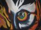 Eye of the Tiger Eye of the Tiger