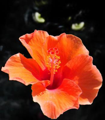 woman wants sex - micha vRhein - Array auf Array - Array - Array woman wants sex - micha vRhein - Array auf Array - Array - Array