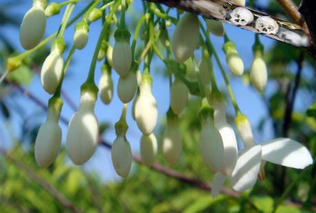 Neue duftende Generation - micha vRhein - Array auf Array - Array - Array Neue duftende Generation - micha vRhein - Array auf Array - Array - Array