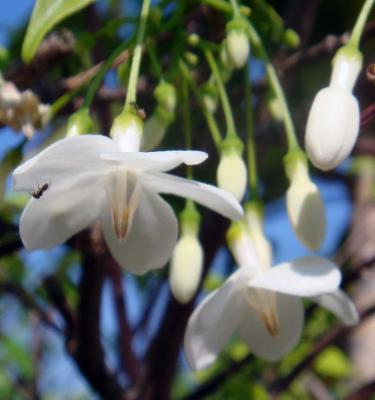 Flights to Earth - micha vRhein - Array auf Array - Array - Array Flights to Earth - micha vRhein - Array auf Array - Array - Array