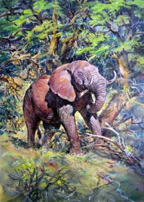 Elefant - Natalia Bastrykina - Array auf - Array - Array Elefant - Natalia Bastrykina - Array auf - Array - Array