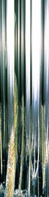 Naturheit - Hajek - auf - Array - Naturheit - Hajek - auf - Array -
