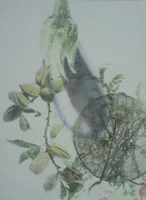 Frottage - Nitrohanddruck - Anja Noll - auf - Array - Frottage - Nitrohanddruck - Anja Noll - auf - Array -