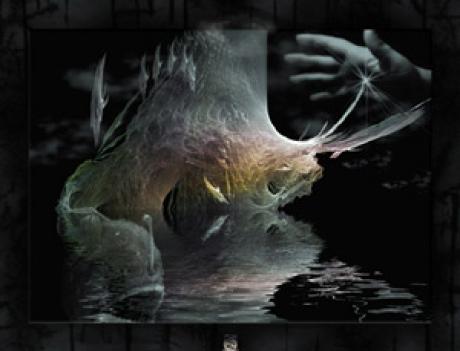 may be a dream - Dreamingbee - auf - Array - may be a dream - Dreamingbee - auf - Array -