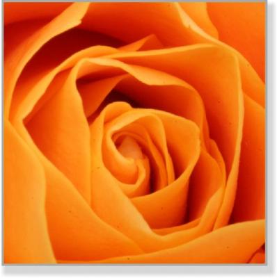 Z4 0105 - Thomas H. Eichkorn Zeit4men - auf - Array - Z4 0105 - Thomas H. Eichkorn Zeit4men - auf - Array -