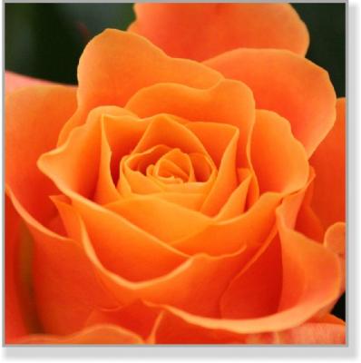 Z4 0105 - Thomas H. Eichkorn Zeit4men - auf - Array - Z4 0105 - Thomas H. Eichkorn Zeit4men - auf - Array -