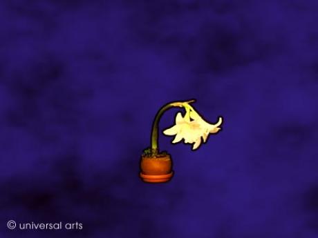 Amaryllis von Mario Strack - Galerie Studio universal arts - auf - Array - Amaryllis von Mario Strack - Galerie Studio universal arts - auf - Array -