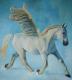 Pegasus - Stephie Pete - Acryl auf Leinwand - Sonstiges - Pegasus - Stephie Pete - Acryl auf Leinwand - Sonstiges -
