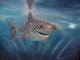 Great White - NEPTUN - Ãl auf Leinwand - Sonstiges - Great White - NEPTUN - Ãl auf Leinwand - Sonstiges -