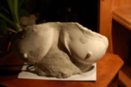 Brüste - pjotr - auf - Array - Brüste - pjotr - auf - Array -