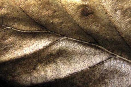 adern - Mirko Bartenwerfer - auf Array - Array - adern - Mirko Bartenwerfer - auf Array - Array -