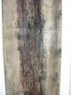 Birke - Jac Kolesch - auf - Array - Birke - Jac Kolesch - auf - Array -