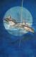 delfin2 - Renato Renato - Tinte-Tusche auf Leinwand - Sonstiges - delfin2 - Renato Renato - Tinte-Tusche auf Leinwand - Sonstiges -