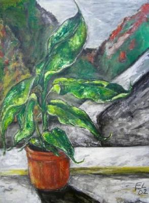 bananenpflanze - Elisabeth Hartig - Array auf Array - Array - bananenpflanze - Elisabeth Hartig - Array auf Array - Array -