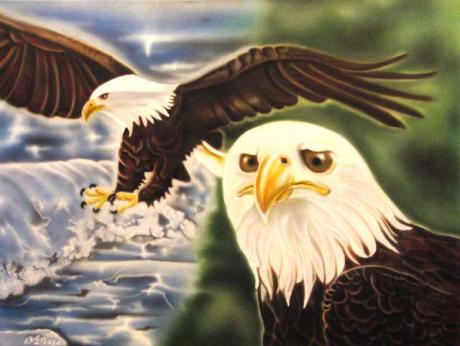 Weißkopfadler - André Kluge -ART - Array auf Array - Array - Weißkopfadler - André Kluge -ART - Array auf Array - Array -