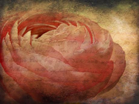 Mystique - Bellamias24 - auf - Array - Mystique - Bellamias24 - auf - Array -