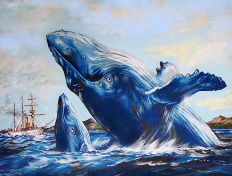 Springende Buckelwale - Wolfgang Archibald Nagl - Array auf Array - Array - Springende Buckelwale - Wolfgang Archibald Nagl - Array auf Array - Array -