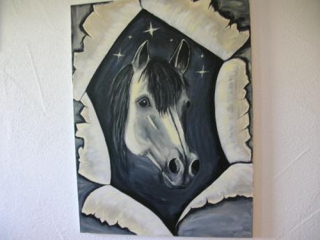 Pferdeportrait mal anders - Maxi - auf - Array - Pferdeportrait mal anders - Maxi - auf - Array -