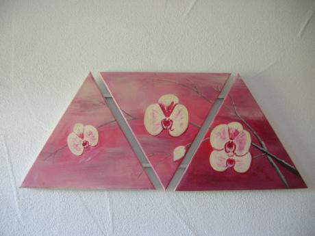 Phanelopsis - Maxi - Array auf Array - Array - Phanelopsis - Maxi - Array auf Array - Array -