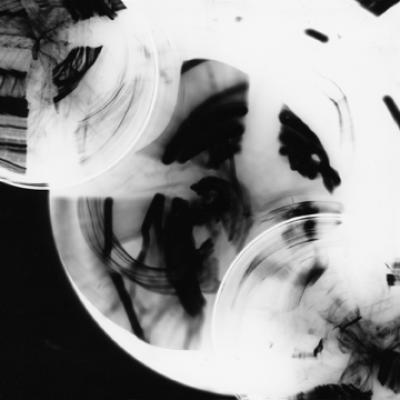 Fotogramm 3 - sarah kir - auf - Array - Fotogramm 3 - sarah kir - auf - Array -