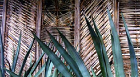 M. Jaggers Fence at Mustique - Udo Klein - auf - Array - M. Jaggers Fence at Mustique - Udo Klein - auf - Array -