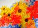 POWER FLOWERS POWER FLOWERS