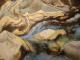 Wildes Wasser Wildes Wasser