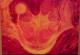 Inneres Feuer - Corinna Bucknor - Acryl auf Leinwand - Abstrakt-Fantastisch-Erotik-Sonstiges-Hitze-Liebe - Abstrakt-Surrealismus Inneres Feuer - Corinna Bucknor - Acryl auf Leinwand - Abstrakt-Fantastisch-Erotik-Sonstiges-Hitze-Liebe - Abstrakt-Surrealismus