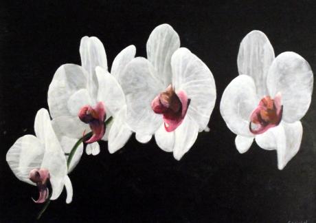 Gewoon mooi - Geert Winkel - auf Array - Array - Array Gewoon mooi - Geert Winkel - auf Array - Array - Array