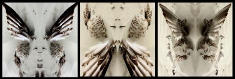 Falter-Trio - Verena Schöning - Array auf  - Array - 