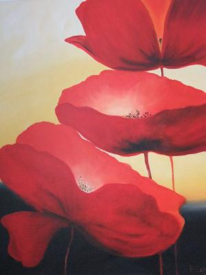 Roter Mohn - Barbara Schui - Array auf Array - Array - Array Roter Mohn - Barbara Schui - Array auf Array - Array - Array