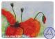 Mohn (2010) Mohn (2010)