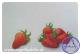 Erdbeeren (2010) Erdbeeren (2010)