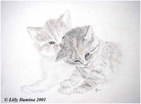Katzenkinder (2000) von Lilly Ilumina - Lilly Ilumina - Array auf - Array - Katzenkinder (2000) von Lilly Ilumina - Lilly Ilumina - Array auf - Array -